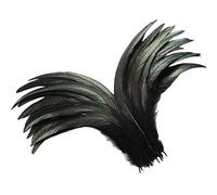 Holmgren Black Rooster Tail Feathers - 60pcs 12-14inch Natural Long Rooster Tail Feathers Bulk for DIY Crafts Costume and Halloween Party Performances Decoration (Black)