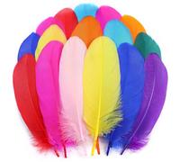 Holmgren Colorful Craft Goose Feathers - 200pcs 5-7inch Colored Feathers for DIY Crafts, Dream Catchers, Cosplay Wings and Home Party Decorations Colorful)