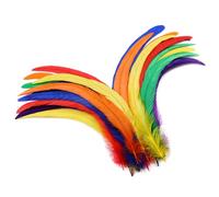 Holmgren Colorful Rooster Tail Feathers - 60pcs 12-14inch Natural Long Rooster Tail Feathers Bulk for DIY Crafts Hats Costume, Holiday Themed Party Decoration (Colorful)