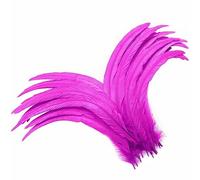 Holmgren Hot Pink Rooster Feathers - 60pcs 12-14inch Natural Large Rooster Tail Feathers Bulk for DIY Crafts, Costume, Holiday Themed Party Decoration (Hot Pink)