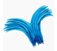 Holmgren Turquoise Rooster Tail Feathers - 60pcs 12-14inch Natural Long Rooster Tail Feathers Bulk for DIY Crafts Hats Costume and Holiday Themed Party Decoration (Turquoise)