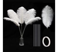 Holmgren White Ostrich Feathers Bulk - 20Pcs Making Kit 22 Inch Large Ostrich Feathers for Vase, Floral Arrangement, Wedding Party Centerpieces and Christmas Home Decorations (White)