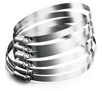 HOLMOL Hose Clips 6PCS, Adjustable 118-140mm Range Hose Clamp Set, 304 Stainless Steel Pipe Clips, Worm Drive Hose Pipe Clips, Pipe Clamps Clips for Hose Pipe Tube, Water Pipe, Automobile Pipe