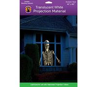 Holographic Rear Projection Screen with Mounting Hardware for Projecting Halloween Videos (40" x 60" White)