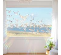 Holographic Window Clings 6 Sheets Bird Strike Prevention