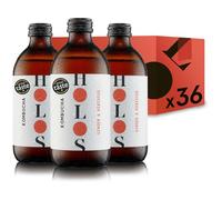 HOLOS Kombucha Drink Ginger & Hibiscus - Organic Kombucha Tea - Chilled, Unpasteurised Raw Kombucha - Vegan, All-Natural Ingredients - 36 x 330ml Kombucha Bottles
