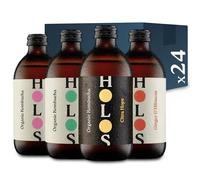 HOLOS Kombucha Drink Mixed Case - Organic Kombucha Tea - Chilled, Unpasteurised Raw Kombucha - Vegan, All-Natural Ingredients - 24 x 330ml Kombucha Bottles