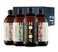 HOLOS Kombucha Drink Mixed Case - Organic Kombucha Tea - Chilled, Unpasteurised Raw Kombucha - Vegan, All-Natural Ingredients - 12 x 330ml Kombucha Bottles