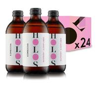 HOLOS Kombucha Drink Raspberry & Elderflower - Organic Kombucha Tea - Chilled, Unpasteurised Raw Kombucha - Vegan, All-Natural Ingredients - 24 x 330ml Kombucha Bottles