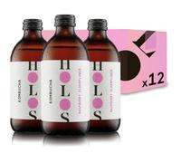 HOLOS Kombucha Drink Raspberry & Elderflower - Organic Kombucha Tea - Chilled, Unpasteurised Raw Kombucha - Vegan, All-Natural Ingredients - 12 x 330ml Kombucha Bottles