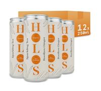 HOLOS Rooibos Ginger Organic Sparkling Tea with Kombucha Culture - Sparkling Green Tea with Rooibos - Gut Health Drink with Natural Ingredients and Added Fibre - Brewed in the UK - 12 x 250ml