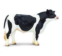 Holstein Bull