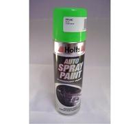 Holts LOYFP14C Paint Match Pro, 300 ml, Fluorescent Spray Paint Green