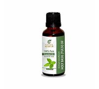 Holy Basil (Tulsi) Oil (Ocimum Sanctum Syn O. Tenuiflorum) Essential Oil 100% Pure Natural Undiluted Uncut Therapeutic Grade Oil 1.01 Fl.OZ