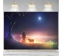 Holy Christmas Star Blue Starry Sky Background Nativity Bethlehem Birth Photographic Religious Church Banner 350x230cm