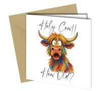 Holy Cow Birthday Card, Colourful Highland Cow Design, 15 cm Square, Blank Inside with Kraft Envelope - cb002