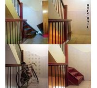 Holy Hail - The Dying (After) Party [VINYL]