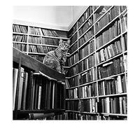Holy Mackerel library cat retro black and white photographic card featuring a vintage image of puss with books - 15cm square and blank inside