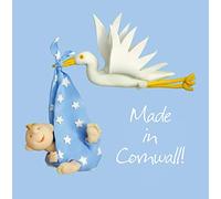 Holy Mackerel made in Cornwall new baby boy card - designed by artist Erica Sturla - 15cm square and blank inside for your message - made in the UK