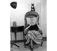 Holy Mackerel Mrs Middleton's cat retro black and white photographic card featuring a vintage image of a woman reading with her pet - 12.6 x 17.7cm and blank inside