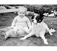 Holy Mackerel sharing a moment retro black and white photographic card featuring a vintage image of a baby and a border collie dog - 12.6 x 17.7cm and blank inside