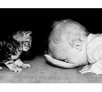 Holy Mackerel sharing some milk retro black and white photographic card featuring a vintage image of a kitten and a baby - 12.6 x 17.7cm and blank inside