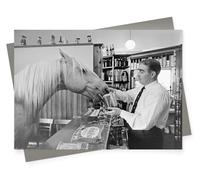Holy Mackerel Why the long face blank greeting card - a 12.6 x 17.7cm Alternative Image design featuring a funny black and white photo of a horse in a pub - blank inside