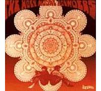 Holy Modal Rounders - Indian War Whoop