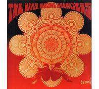 Holy Modal Rounders, the - Indian War Whoop [VINYL]