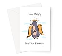Holy Mole'y It's Your Birthday Greeting Card | Funny Mole Pun Birthday Card For Friend, Mole Angel With Halo & Wings, Holy Moly It's Your Birthday Card