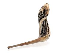 Kosher Kudu Shofar Horn from Israel 14”-16" Traditional Half Polished Kudu Shofar Includes Carrying Bag, Brush, Anti Odor Spray and Blowing Guide - Holy Easy Blowing Ancient Jewish Musical Instrument