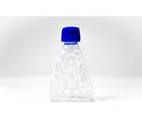 Holy Water in a Lourdes Plastic & Lourdes Prayer Card