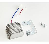 HOLZER 1 x Charge Regulator Alternator Regulator 12 V for Diesel Engine, Rotek, Yanmar