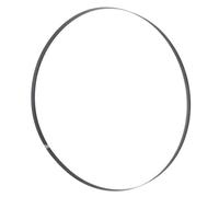 Holzmann Machine BSB230B10 Band Saw Blade 1575x10x0.36mm 6 ZpZ