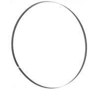 Holzmann Maschinen BSB230B6 Bandsaw Blade 1575 x 6 x 0.36 mm 14 TPI