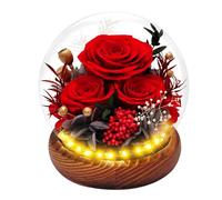 Hombees Preserved Rose Forever Flowers in Glass Dome Gifts for Women, Long-Lasting Real Flowers，Red Eternal Rose Birthday Gifts for Mom Valentines Day Anniversary for Wife Girlfriend