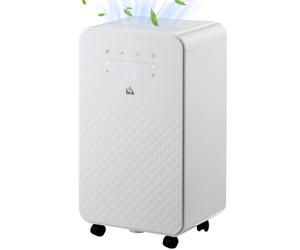 Homcom 10L Per Day 2L Dehumidifier And Air Filter 24H Timer For Home In White White