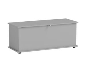 HOMCOM 113L Storage Chest, Storage Box with Flip-Top Lid and 2 Safety Hinges, Storage Trunk for Living Room, Entryway, 100 x 40 x 40 cm, Grey