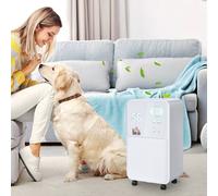 Homcom 12L Per Day 2L Portable Quiet Dehumidifier For Home In White White