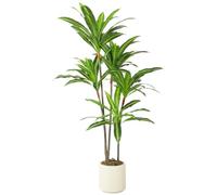 HOMCOM 150cm Artificial Dracaena Tree, Decorative Artificial Plants with Bendable Trunks and White Planter for Living Room Bedroom Home Office Decor, Green