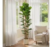 HOMCOM 180Cm Artificial Fiddle Leaf Fig Tree Fake Potted Tree For Home Office Décor, Green