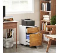 Homcom 2 Drawer Filing Cabinet With Adjustable Hanging Bars For A4 And Letter