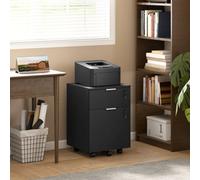 HOMCOM 2 Drawer Filing Cabinet with Adjustable Hanging Bars for A4 and Letter, Black