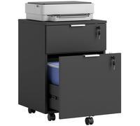 HOMCOM 2 Drawer Filing Cabinet with Adjustable Hanging Bars for A4 & Letter in Black HOMCOM Black