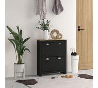 Homcom 2 Drawer Shoe Cabinet Narrow Shoe Cupboard With Flip Doors, Black Black