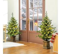HOMCOM 2 Pcs 4ft Artificial Christmas Tree with Lights, Pot, Realistic Tips in Green HOMCOM Green 4ft