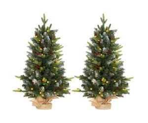 HOMCOM 2 Pieces 3ft Small Christmas Tree With Lights and 291 Tips, Concrete Base, Tabletop Xmas Tree w/ Pine Cones and Red Berries, Green Aosom UK