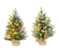 Homcom 2 Pieces Prelit Artificial Tabletop Christmas Trees, Led Display In Green Green