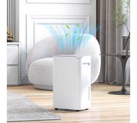 HOMCOM 20L/Day Dehumidifier with Continuous Drainage 2.5L Water Tank and 24H Timer, none