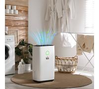16L Quiet Portable Dehumidifier for Home Laundry, White